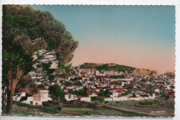 31  Vue Generale - Viste Panoramiche, Panorama