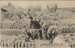 EFFET DE BISE A VERSOIX - HOTEL GARNERET - Versoix