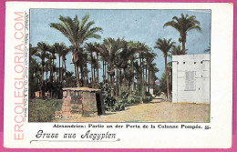 Ag2915 - EGYPT - VINTAGE POSTCARD -  Gruss Aus Aegypten - Altri & Non Classificati