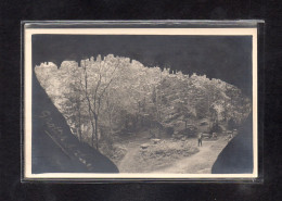 (25/04/24) 64-CPA SARE - CARTE PHOTO LES GROTTES DE SARE - Sare