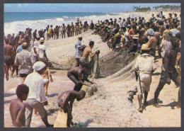 121097/ SALVADOR, The Famous Net-pull During The *xareu* Fishing - Salvador De Bahia