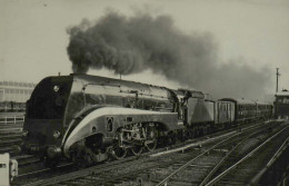 Locomotive 232-52 - Photo G. F. Fenino - Eisenbahnen