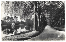 77 Fontainebleau - Palais - Allee De Sully - Fontainebleau