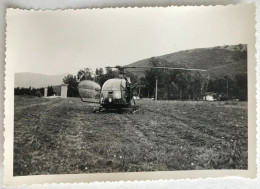 Photo Ancienne - Snapshot - Militaire - Hélicoptère ALOUETTE - Aviation - Luftfahrt