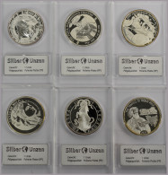 Alle Welt: 6 X 1 OZ Silbermünzen In Der Höchsten Qualität Polierte Platte. In Qu - Collections & Lots