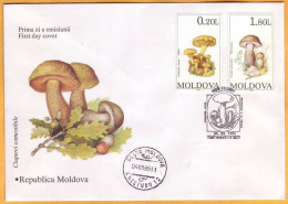 1995 Moldova Moldavie FDC Mushrooms. Nature. Cover - Hongos