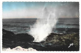 85  La Corniche Vendeene Entre Croix De Vie Et Sion - Le Jet D'eau - Saint Gilles Croix De Vie