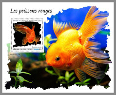 GUINEA REP. 2023 MNH Goldfish Goldfische S/S – OFFICIAL ISSUE – DHQ2417 - Fische