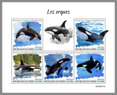 GUINEA REP. 2023 MNH Orcas Whales Wale M/S – OFFICIAL ISSUE – DHQ2417 - Whales