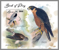 LIBERIA 2023 MNH Birds Of Preys Greifvögel Raubvögel S/S – OFFICIAL ISSUE – DHQ2417 - Eagles & Birds Of Prey