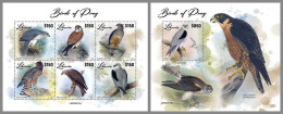 LIBERIA 2023 MNH Birds Of Preys Greifvögel Raubvögel M/S+S/S – OFFICIAL ISSUE – DHQ2417 - Aquile & Rapaci Diurni