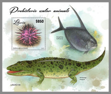 LIBERIA 2023 MNH Preh. Water Animals Präh. Meereslebewesen S/S – OFFICIAL ISSUE – DHQ2417 - Prehistorics