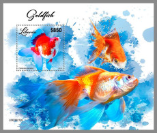 LIBERIA 2023 MNH Goldfish Goldfische S/S – OFFICIAL ISSUE – DHQ2417 - Fische