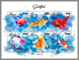 LIBERIA 2023 MNH Goldfish Goldfische M/S – OFFICIAL ISSUE – DHQ2417 - Fishes