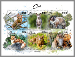 LIBERIA 2023 MNH Cats Katzen M/S – OFFICIAL ISSUE – DHQ2417 - Gatos Domésticos