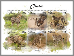 LIBERIA 2023 MNH Cheetah Geparden M/S – OFFICIAL ISSUE – DHQ2417 - Roofkatten