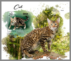 LIBERIA 2023 MNH Cats Katzen S/S – OFFICIAL ISSUE – DHQ2417 - Katten