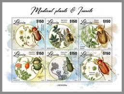 LIBERIA 2023 MNH Medical Plants Heilpflanzen Insects M/S – OFFICIAL ISSUE – DHQ2417 - Plantes Médicinales