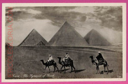 Ag2959 - EGYPT - VINTAGE POSTCARD - Cairo, The Pyramids - Caïro