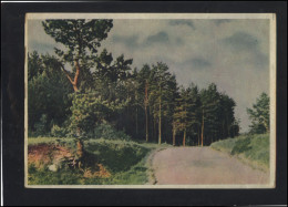 Post Card Lithuania LT Pc 115 Road To ANYKSCIAI 1955 - Lituania
