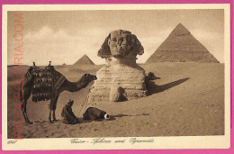 Ag2961 - EGYPT - VINTAGE POSTCARD - Cairo, The Pyramids - Caïro