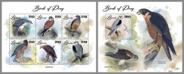 LIBERIA 2023 MNH Birds Of Preys Greifvögel Raubvögel M/S+S/S – IMPERFORATED – DHQ2417 - Eagles & Birds Of Prey