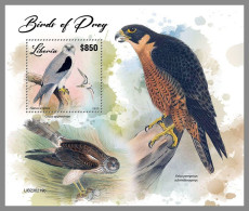 LIBERIA 2023 MNH Birds Of Preys Greifvögel Raubvögel S/S – IMPERFORATED – DHQ2417 - Eagles & Birds Of Prey