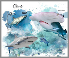 LIBERIA 2023 MNH Sharks Haie S/S – IMPERFORATED – DHQ2417 - Dolfijnen