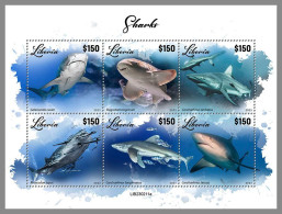 LIBERIA 2023 MNH Sharks Haie M/S – IMPERFORATED – DHQ2417 - Dolfijnen