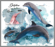 LIBERIA 2023 MNH Dolphins Delphine S/S – IMPERFORATED – DHQ2417 - Dolphins