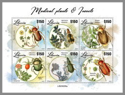 LIBERIA 2023 MNH Medical Plants Heilpflanzen Insects M/S – IMPERFORATED – DHQ2417 - Heilpflanzen