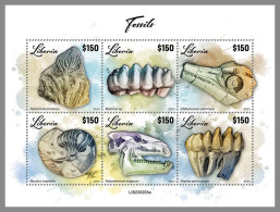 LIBERIA 2023 MNH Fossils Fossilien M/S – IMPERFORATED – DHQ2417 - Fossili