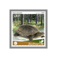 LITHUANIA-BEEPOST 2024 MNH Turtle Schildkröte Emys Orbicularis 1v – PRIVATE OPERATOR – DHQ2417 - Tortugas