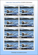 LITHUANIA-BEEPOST 2024 MNH Birds Vögel Clangula Hyemalis M/S – PRIVATE OPERATOR – DHQ2417 - Patos