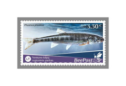 LITHUANIA-BEEPOST 2024 MNH Fishes Fische Phoxinus Phoxinus 1v – PRIVATE OPERATOR – DHQ2417 - Poissons