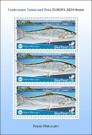 ESTONIA-BEEPOST 2024 MNH Fishes Fische Coregonus Albula M/S – PRIVATE OPERATOR – DHQ2417 - Poissons
