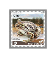 ESTONIA-BEEPOST 2024 MNH Frogs Frösche Pelobates Fuscus 1v – PRIVATE OPERATOR – DHQ2417 - Rane