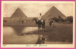 Ag2978 - EGYPT - VINTAGE POSTCARD - Cairo - Caïro