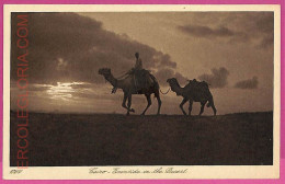 Ag2980 - EGYPT - VINTAGE POSTCARD - Cairo - Le Caire