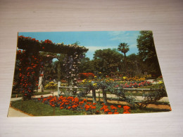 CP CARTE POSTALE BOUCHES Du RHONE MARSEILLE PARC BORELY La ROSERAIE - VIERGE - Parcs Et Jardins