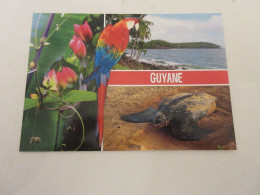 CP CARTE POSTALE AMERIQUE Du SUD GUYANE PASSIFLORE ILES Du SALUT TORTUE LUTH - Sonstige & Ohne Zuordnung