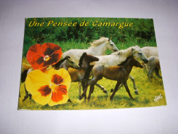 CP CARTE POSTALE GARD CAMARGUE JUMENTS Et POULAINS CAMARGUAIS - ECRITE - Autres & Non Classés