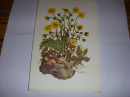 CP CARTE POSTALE FLEURS BOUQUET De BOUTONS D'OR - VIERGE - Fiori