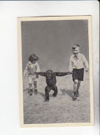 Mit Trumpf Durch Alle Welt Tiere Und Kinder II Bruder Und Schwester Mit Schimpansen  C Serie 12 # 2 Von 1934 - Sigarette (marche)