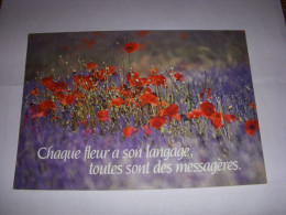 CP CARTE POSTALE MESSAGE CHAQUE FLEUR A Son LANGAGE - ECRITE - Bloemen