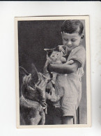 Mit Trumpf Durch Alle Welt Tiere Und Kinder II Knabe Hund Katze   C Serie 12 # 3 Von 1934 - Zigarettenmarken