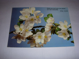 CP CARTE POSTALE RELIGIEUSE FLEURS ARBRE FRUITIER Christ Est Mort (Cor.) ECRITE - Autres & Non Classés