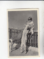 Mit Trumpf Durch Alle Welt Tiere Und Kinder II Kleine Mädchen Mit Ziegen  C Serie 12 # 4 Von 1934 - Other Brands