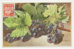 Maximum Card Belgium 1956 Grapes - Vinos Y Alcoholes