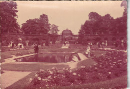 L'HAY LES ROSES  - Le Bassin De La Roseraie    Photo Véritable   Carte Très Rare    CPM Dentelée - L'Hay Les Roses